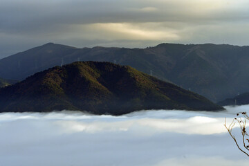 霧の都「亀岡霧のテラス」からの雲海絶景