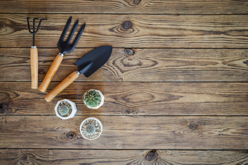 Gardening tools and set of plant care utensils on wooden table, top view, garden maintenance landscaping and hobby concept.