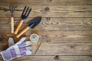 Gardening tools and set of plant care utensils on wooden table, top view, garden maintenance landscaping and hobby concept.