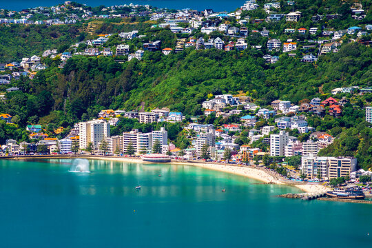 Wellington's inner city Oriental Bay beach and Mount Victoria viewed on a perfect summer's day from Tinakori Hill. © Stefan Mokrzecki