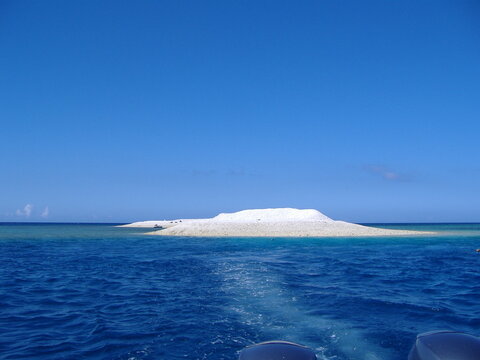 barasu2006