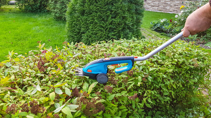 Male hands are cutting bushes with garden tool. Gardener with trimer for pruning branches in garden.