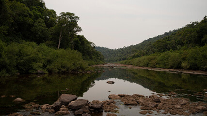Fototapeta na wymiar Reserva Yabotí- 