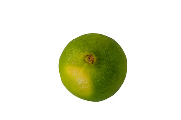 Citrus fresh juicy ripe fruits isolated, lime