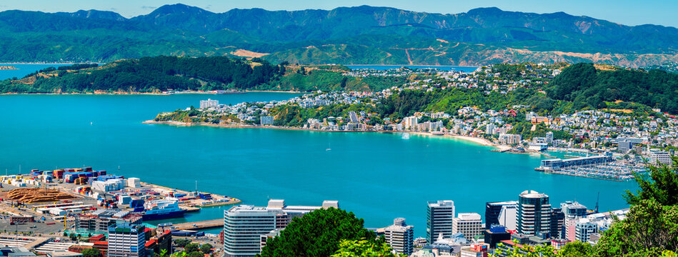 Panoramic view of Wellington city and harbour viewed from Tinakori Hill. The inner city high rise buildings are visible in the foreground with Oriental Bay and Mount Victoria in the middle ground.