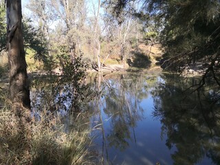 Bosque El Centinela Laguna