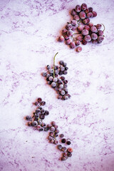 Obraz na płótnie Canvas 3 bunches of frozen grapes on a pink textured surface 