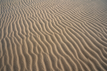 Perfect desert sand dunes with wave pattern