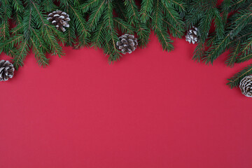 fir branches and cones on red background , top view flat lay copy space. Christmas and New Year background