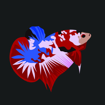 Beautiful Betta Fish Colored Cartoon Illustrator Style for your logo