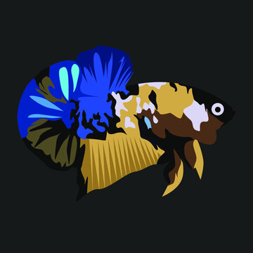 Beautiful Betta Fish Colored Cartoon Illustrator Style for your logo