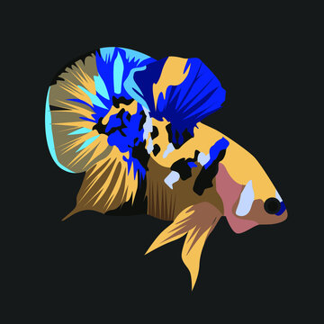 Beautiful Betta Fish Colored Cartoon Illustrator Style for your logo