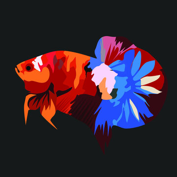 Beautiful Betta Fish Colored Cartoon Illustrator Style for your logo