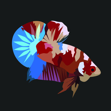 Beautiful Betta Fish Colored Cartoon Illustrator Style for your logo