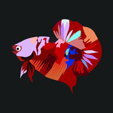 Beautiful Betta Fish Colored Cartoon Illustrator Style for your logo