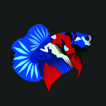 Beautiful Betta Fish Colored Cartoon Illustrator Style for your logo