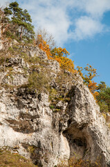 colorful trees on a limestone cliff in swabian alb