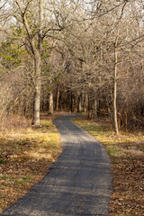 Fototapeta premium Idyllic autumn landscape of a wooded forest area with bare trees and leaf covered ground, with a winding paved walking trail