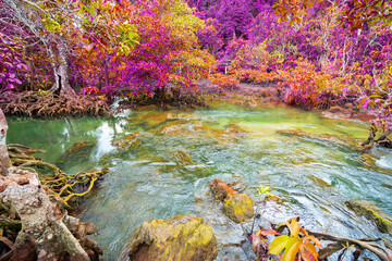Colorful majestic Emerald pool is unseen pool in mangrove forest Majestic autumn trees glowing by sunlight autumn leaves Dramatic scene.