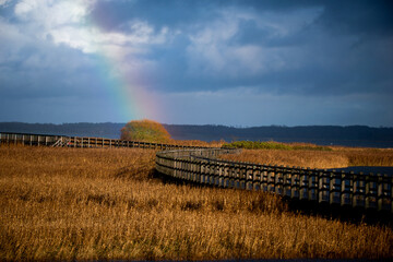 Wooden bridge Skive denmark 