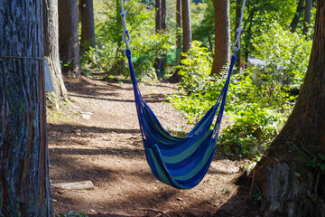 森の中の樹からぶら下がったハンモック