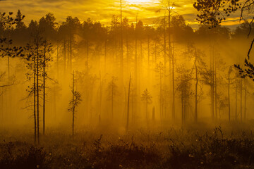Landschaft in Finnland, Kajaani, Karelien