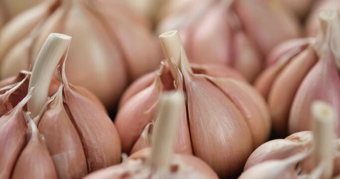 fresh garlic closeup rotating. Eco friendly food concept