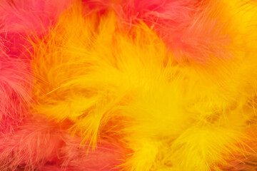 Obraz premium Defocused abstract colored feathers background.