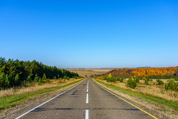 The road goes into the distance through the woods in the background a field