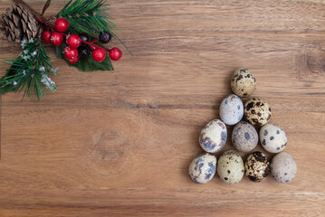 Christmas trees of quail eggs and pine branch on a wooden natural background. New year's food decoration. Christmas food composition. 
