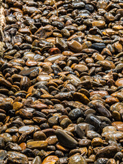 Small stones are popular to decorate the garden. Especially around the fountain