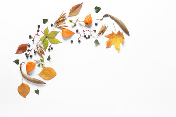 Beautiful autumn composition on white background