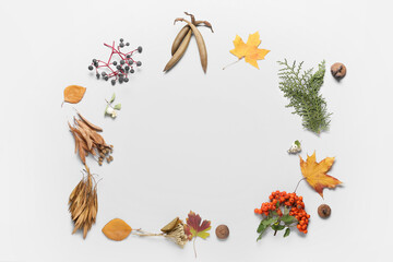 Beautiful frame made of autumn leaves on white background