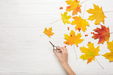 Hand with scissors and autumn leaves on white wooden background