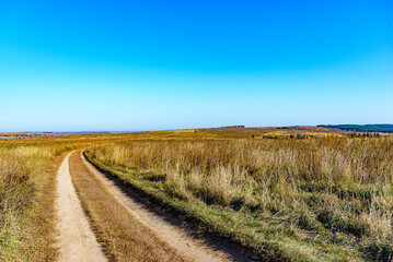 Fototapeta na wymiar The dirt road goes into the distance through an autumn field against a clear blue sky