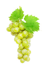 Obraz premium Green grapes with leaves