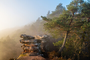 fog in the mountains