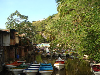 Obraz premium variedad