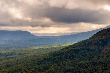 Panoramic view over mountains covered by forest