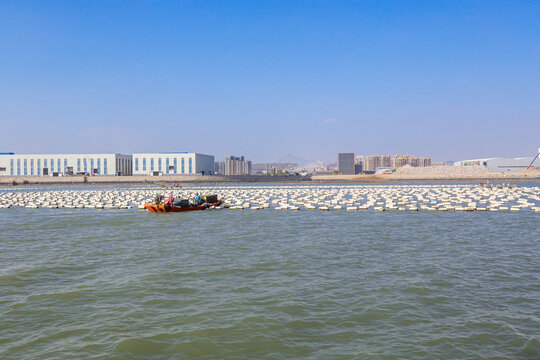 Traditional Seaweed And Kelp Farm On The Ocean Near Xiamen City, China