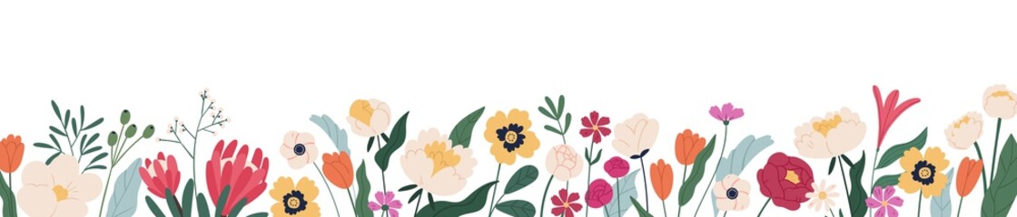 Fototapeta na wymiar Horizontal white banner or floral backdrop decorated with gorgeous multicolored blooming flowers and leaves border. Spring botanical flat vector illustration on white background