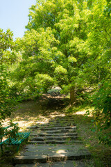 An old stone staircase on the mountain in the park. Near the stairs there are trees and green grass. If you are tired, you can relax on the bench.