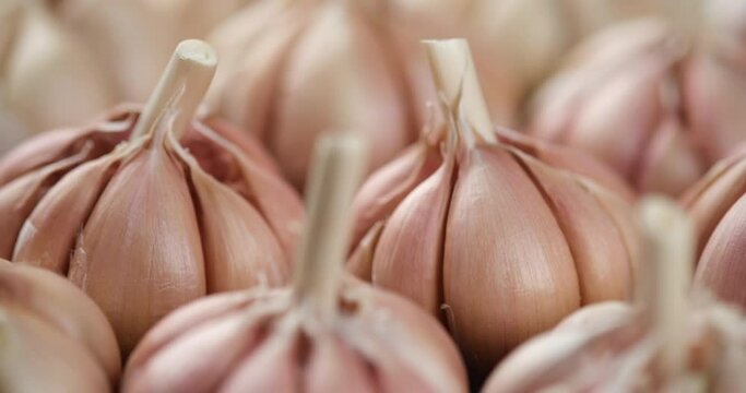 fresh garlic closeup. Eco friendly food concept