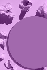 dry orchid flower pattern on a pastel violet background with circle on top with shadows