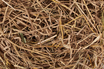 Dry grass is a poultry nesting material