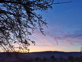 Sonnenuntergang mit Baum und H&uuml;gel