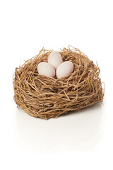 the white egg in nest on white background