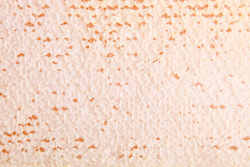 Golden sealed honeycomb