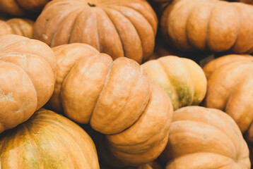 Harvest of pumpkins pumpkins in the supermarket