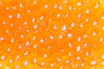 red chum salmon caviar